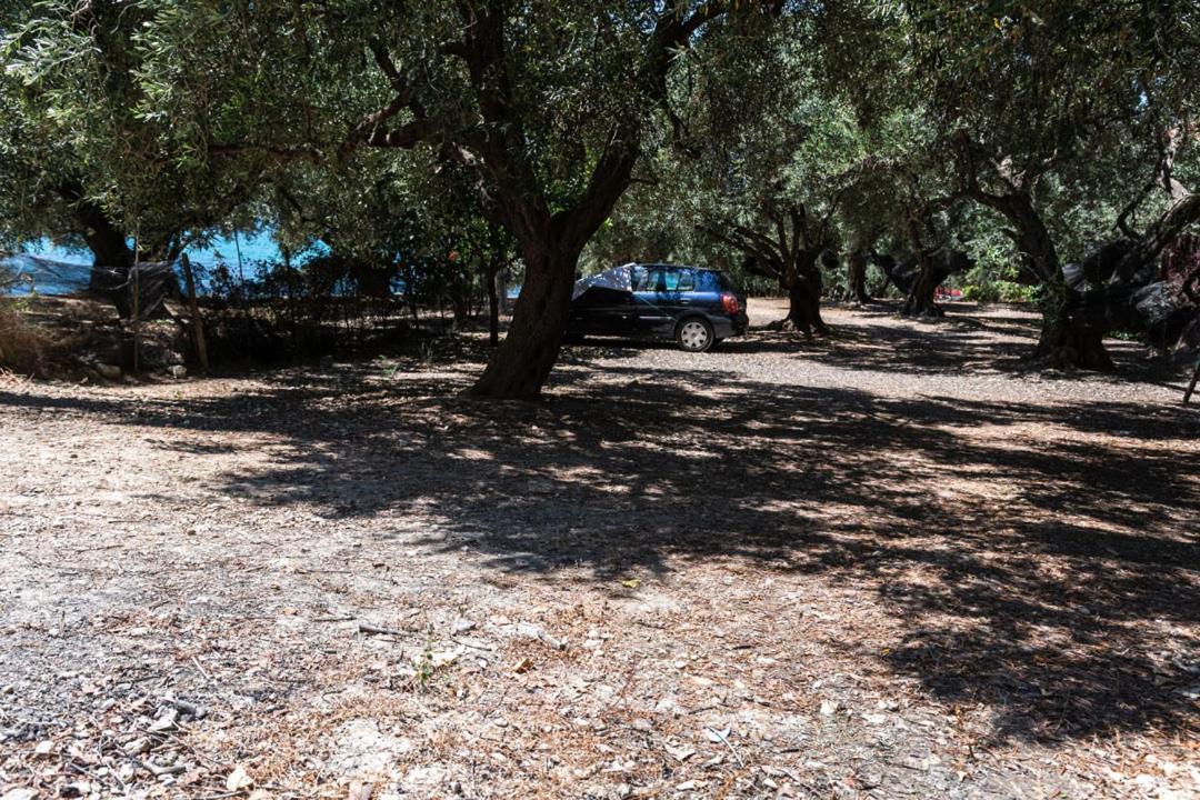 Olive Tree Villa Lygia  Exterior foto