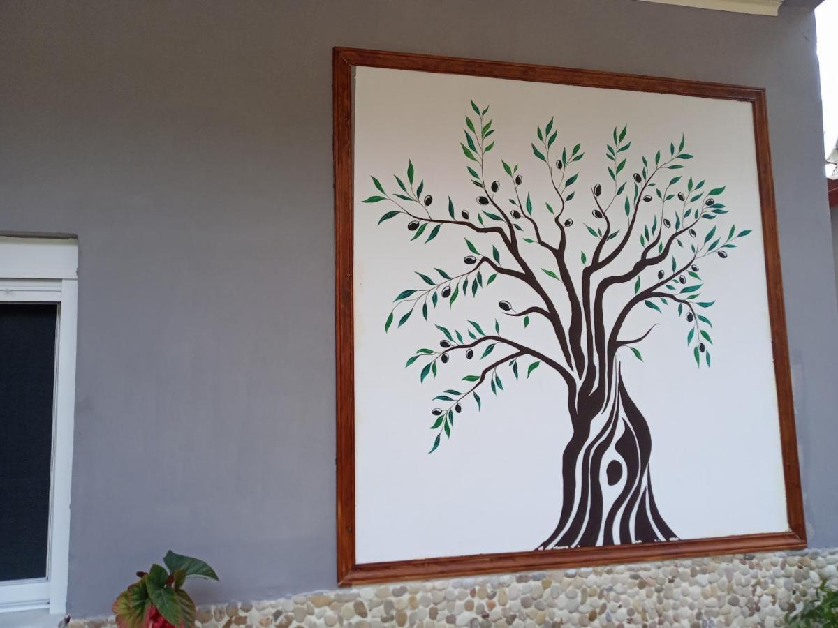 Olive Tree Villa Lygia  Exterior foto